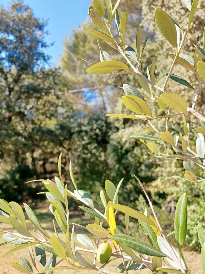 Studio Avec Jardin Entre Aix-En-Provence, Luberon Et Verdon Peyrolles-en-Provence Εξωτερικό φωτογραφία