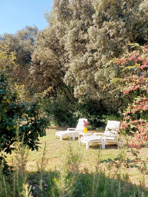 Studio Avec Jardin Entre Aix-En-Provence, Luberon Et Verdon Peyrolles-en-Provence Εξωτερικό φωτογραφία